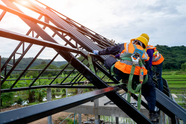 Best Local Roofing Companies  in Forest City, NC